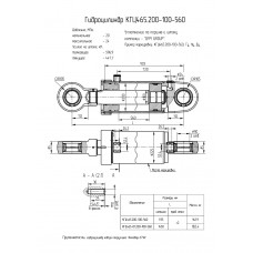 Гидроцилиндр КГЦ465.200-100-560