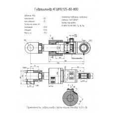 Гидроцилиндр КГЦ892.125-80-800