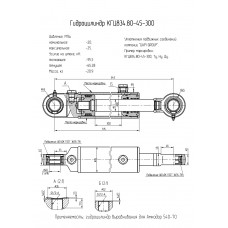 Гидроцилиндр КГЦ834.80-45-300