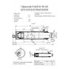 Гидроцилиндр КГЦ628.125-100-665